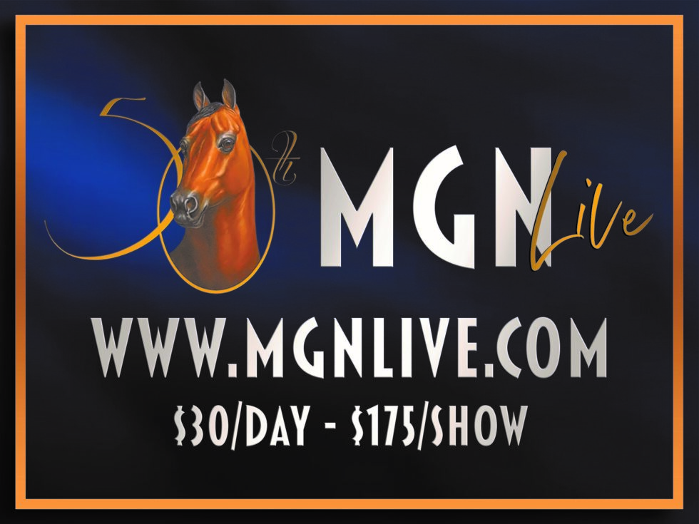 MGN Live Grand National & World Championship Horse Show